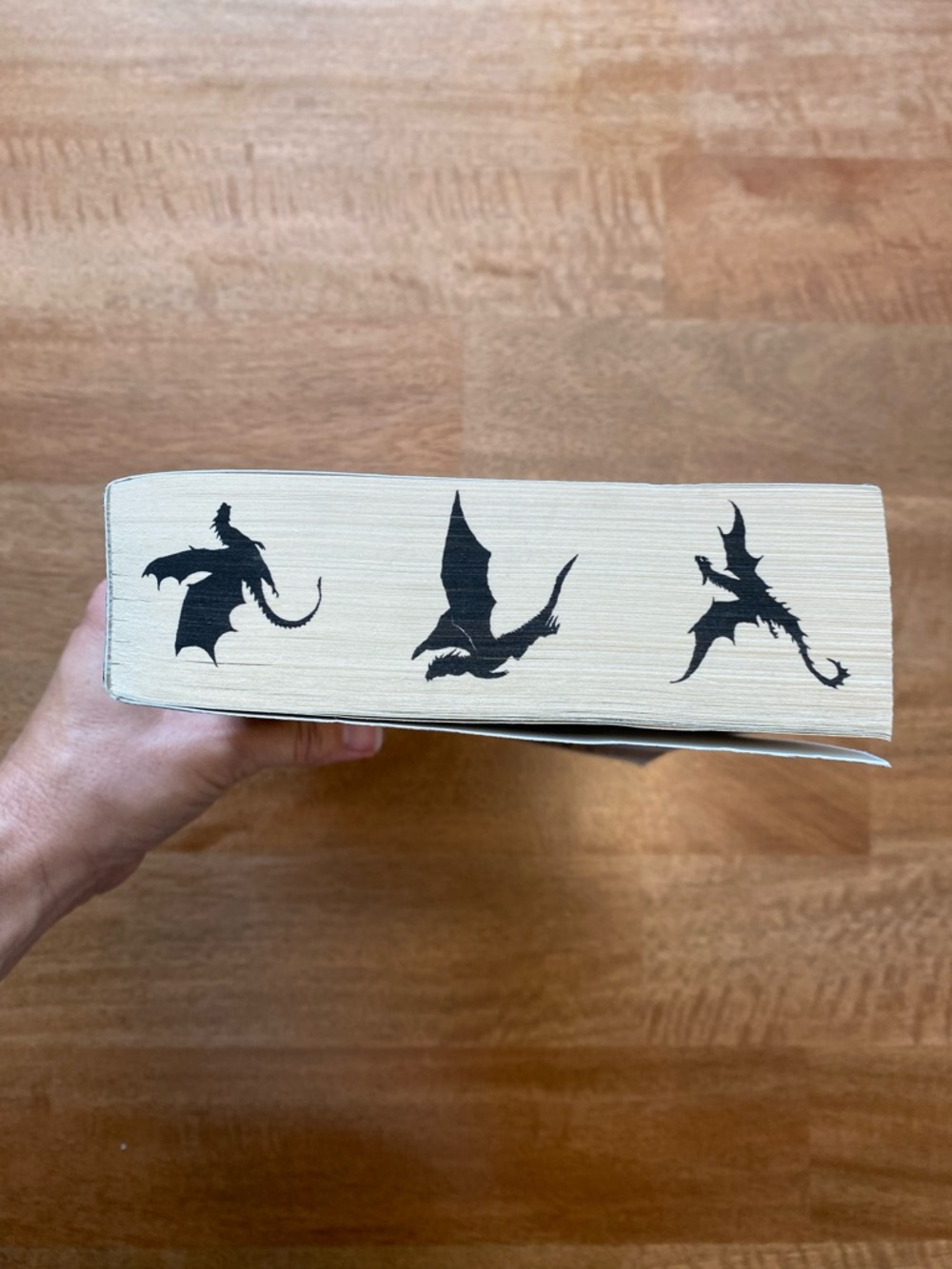 Iron Flame Book by Rebecca Yarros - Picture 5 of 7